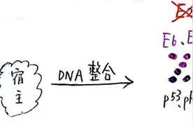 宫颈癌筛查，你问我答图片