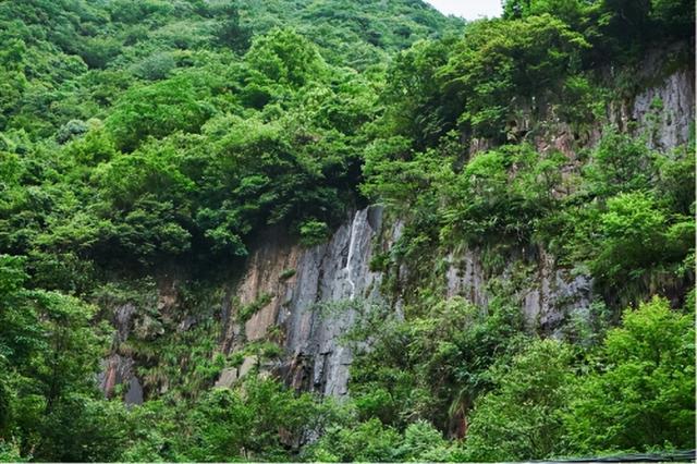 定制旅游平台成银发新选，幸福之家旅行社解锁适老旅行体验