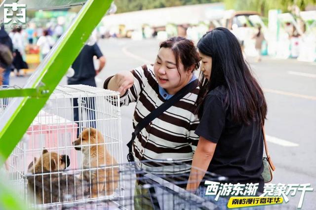 要爆了~你的假期朋友圈素材不能没有它！