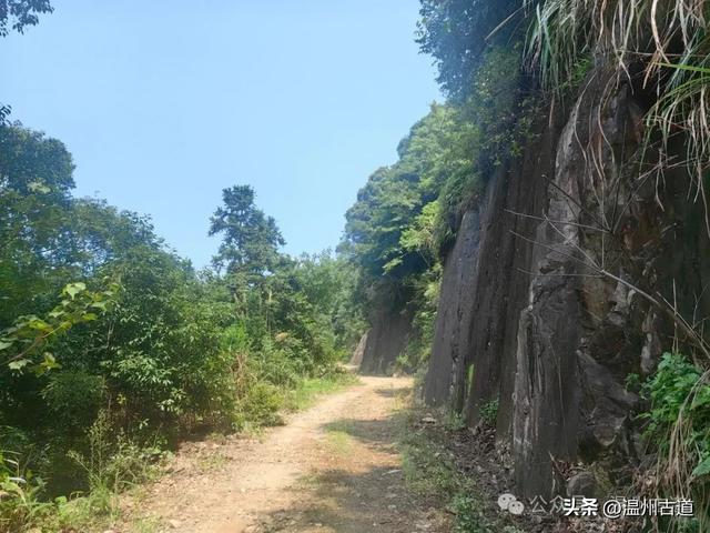 温州这处山水秘境、天然氧吧，人迹稀少风景绝美，秘藏了隐世古村
