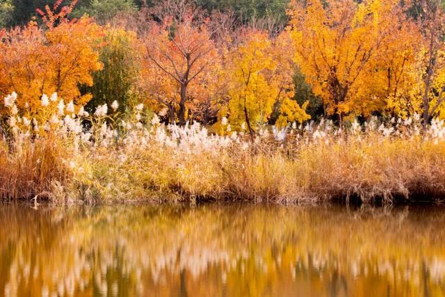 赏秋登高正当时！丰台这些好去处——