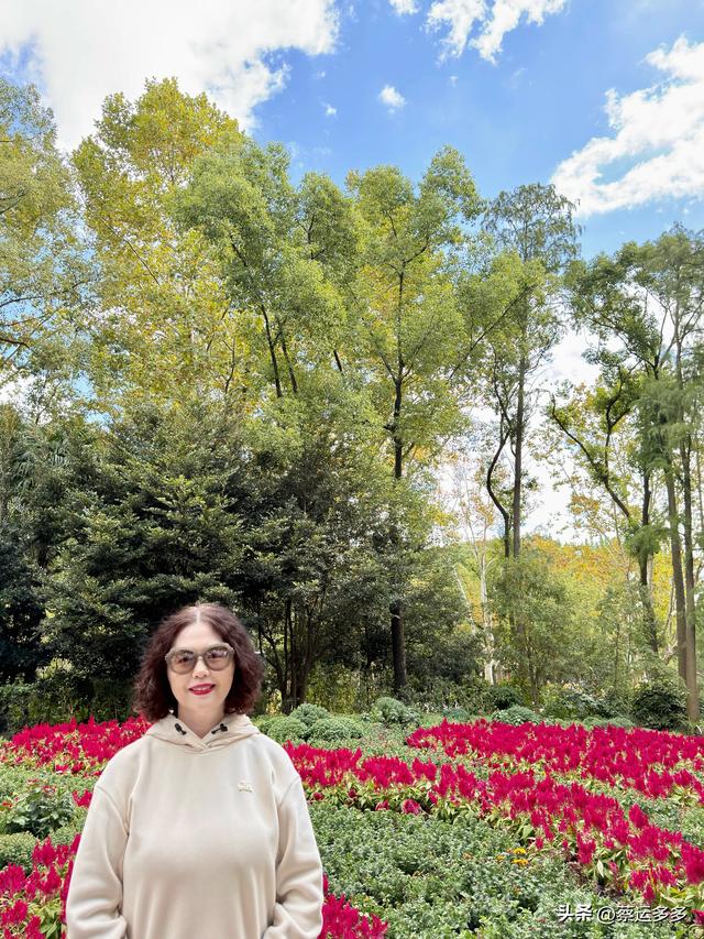 重阳节，上海赏秋之美