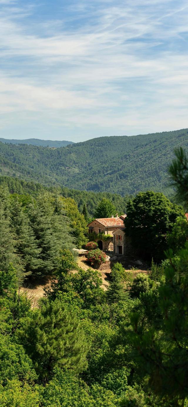 手机壁纸|治愈系的自然美景