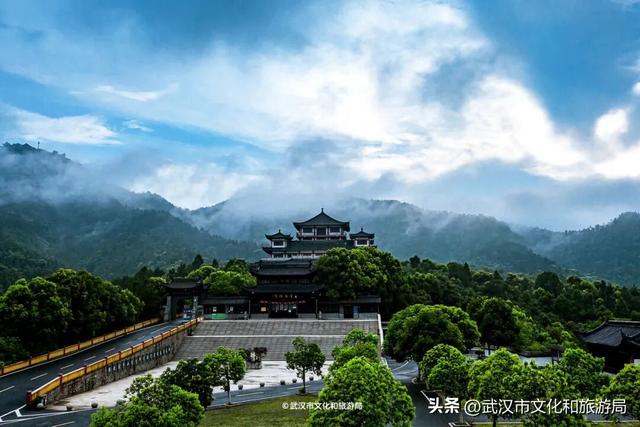 暴雨天，武汉这里排长队！
