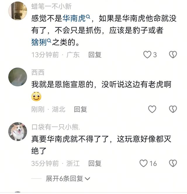 湖北恩施一村民干农活时被老虎抓伤：持锄头敲了它几下 摇摇头走了