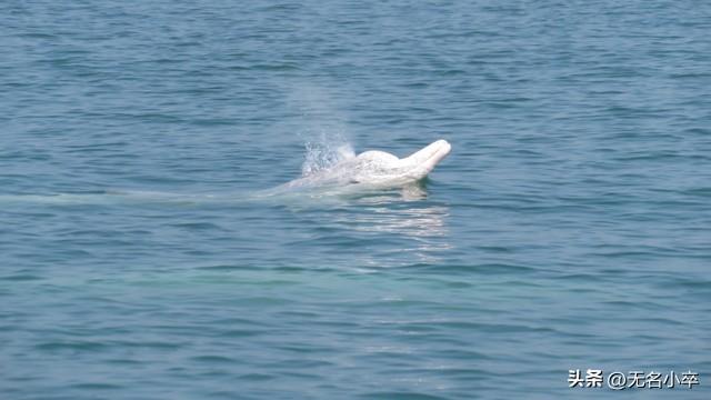 广西钦州和防城港都去旅居过，实话实说，两者对比，防城港好多了