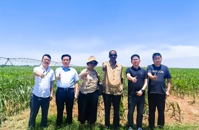 中国女农场主在非洲遇难，画面惨烈，死因曝光，原来韩红说的没错