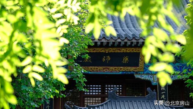 我想离开浪浪山，去房山看看！