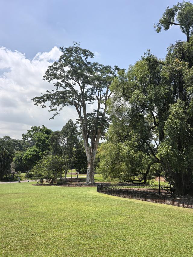 新加坡：“亲自然城市”，并非简单的“花园城市”