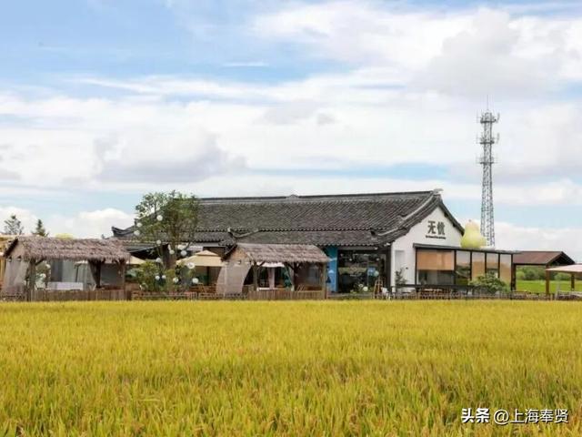 一键查收！“志愿星光 闪耀乡村”，上海市奉贤区12·5国际志愿者日主题活动邀请函