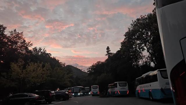 一路“香”逢武夷秋 | 非遗民俗+科技赋能，解锁武夷文旅流量密码~