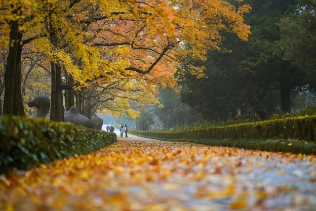 高铁1h！比西安秀美！这座千年古都秋色绝了！高光仅20天！