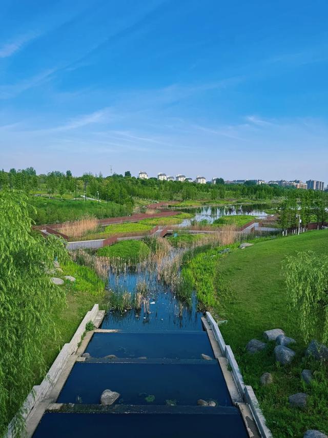 南京最“冷门”的公园,耗资23亿打造却不为所知,地铁公交直达!