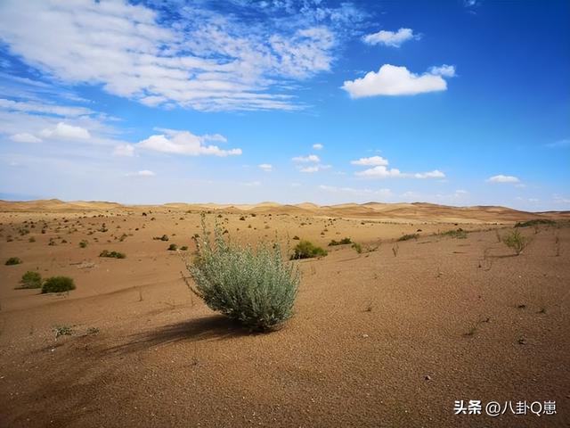 马云时隔6年现身蚂蚁森林，目前已种下6亿棵树，马云开心和树比高