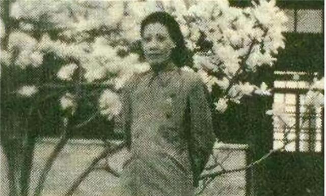 5次婚姻、8年牢狱	、2次绝境：她用血泪淬炼“火凤凰	”传奇