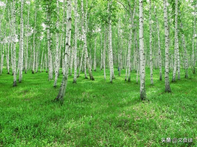 张家口旅游全攻略：必游景点与必吃美食，一篇搞定！