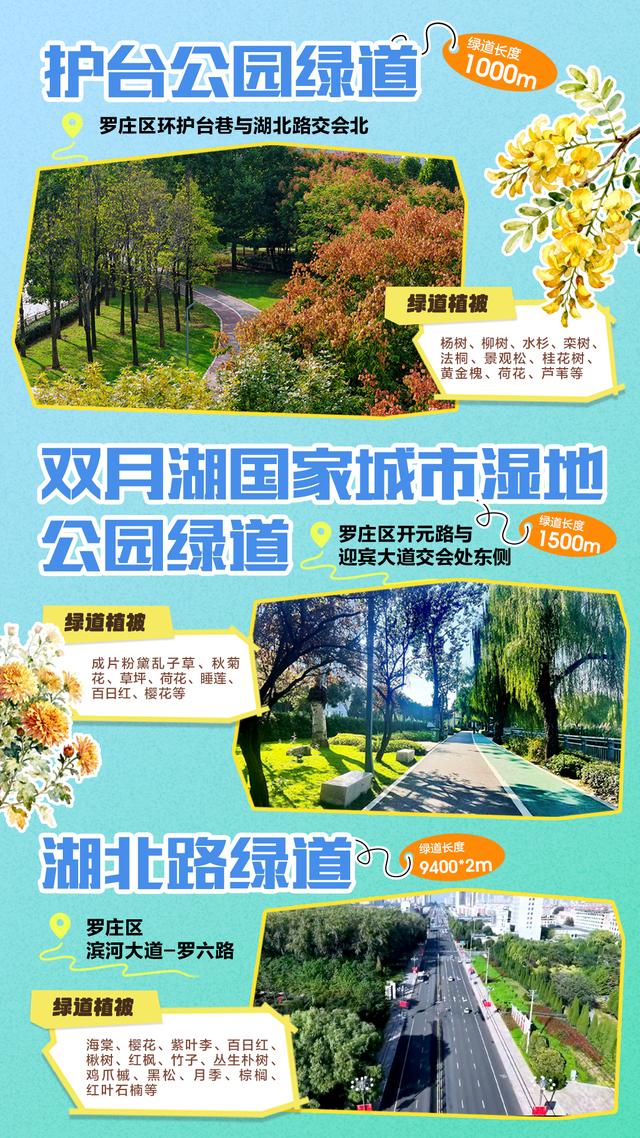 藏不住了！临沂35条诗意绿道，道道有风景，步步皆诗意