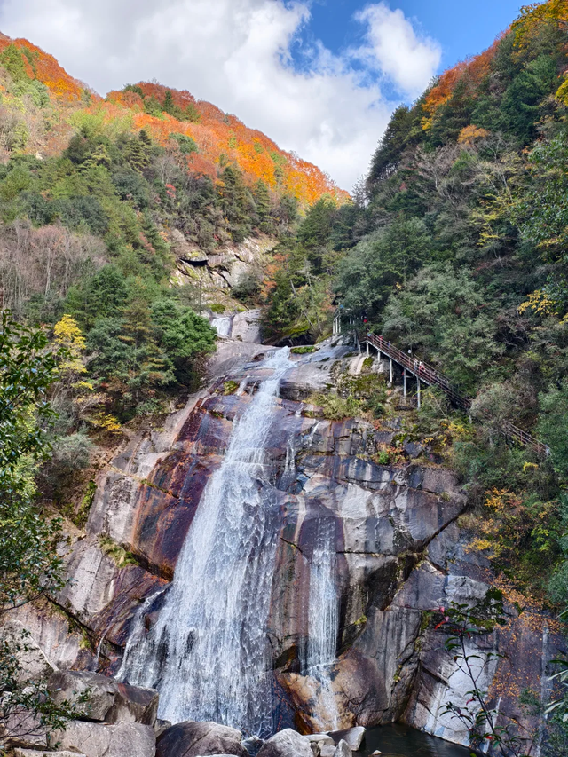 听劝！别再去光雾山米仓山人挤人，红叶没有啦！