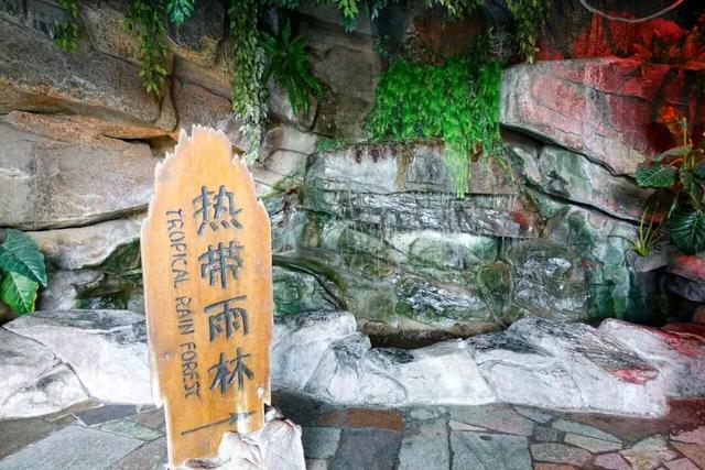 山东这座宝藏小城，坐拥中国四大名楼之一！苏轼、秦始皇都为它打call！