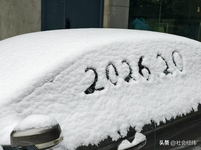 每日一景|大寒雪落金陵 明故宫梧桐披银 市民漫步享冬日诗意
