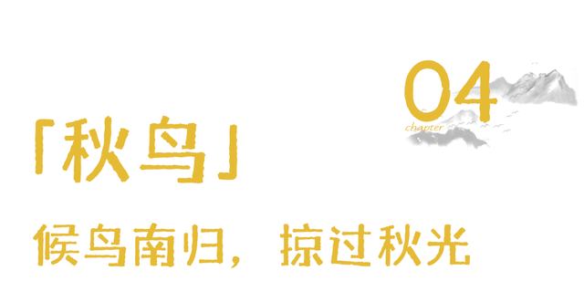 秋天武夷山给你一点颜色瞧瞧