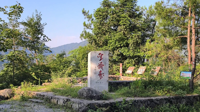 舜帝三临的"南方植物王国"：藏着长征记忆与千年茶香的"大山里"