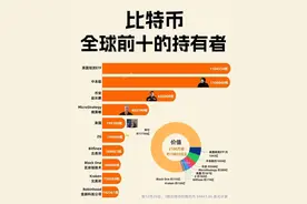 一张图看比特币全球前十持有者图片