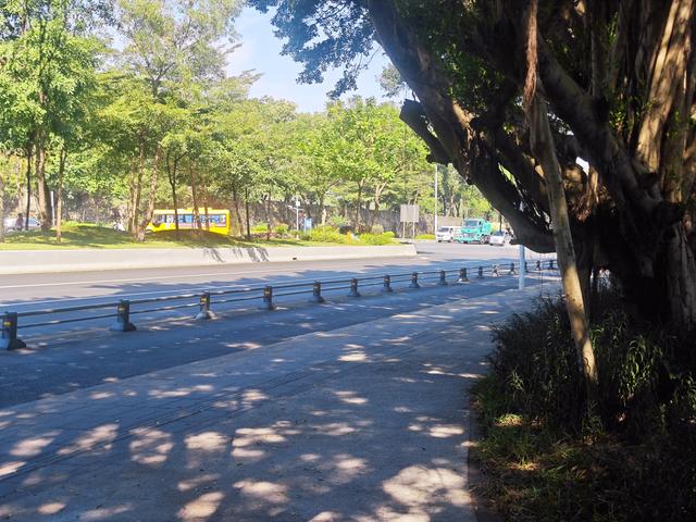 环西丽湖绿道骑行慢行随拍-动个好奇心