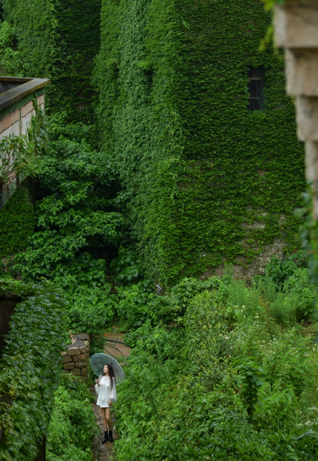 从你的全世界路过81：墟村浮光