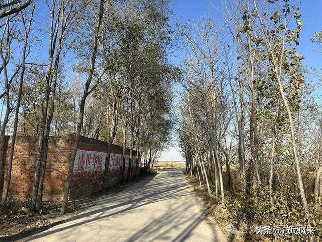 冠县乡韵·贾镇岑庄