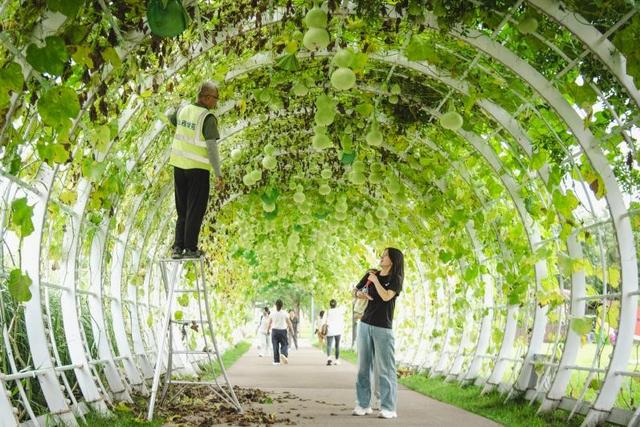 开启“双节”文旅盛宴 太原植物园活动精彩纷呈