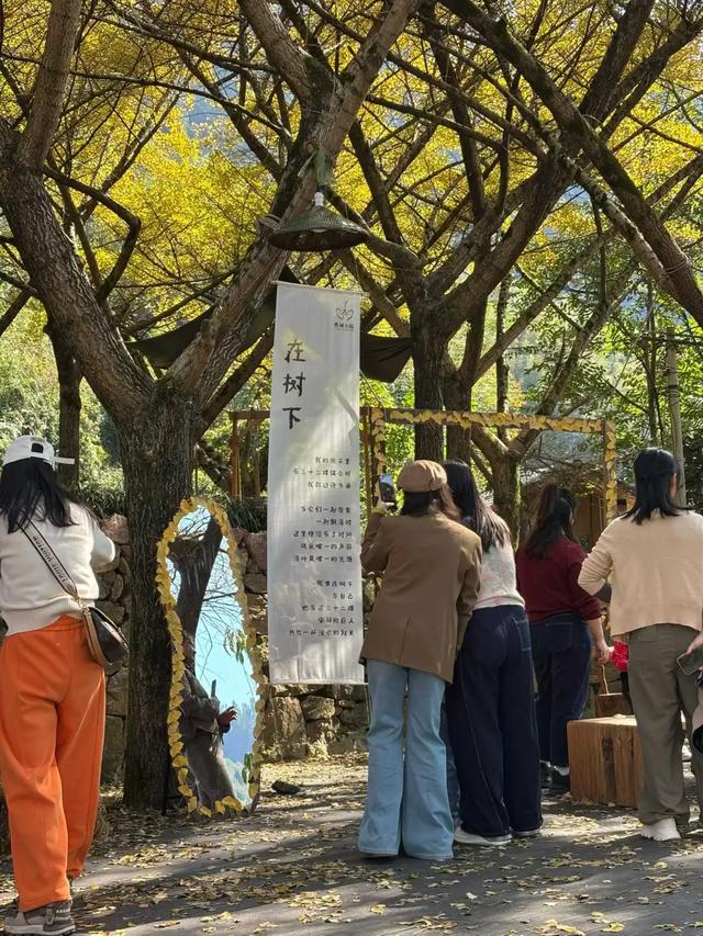 邵阳人藏不住的秋冬快乐!这些“金色浪漫”,@所有人来约!