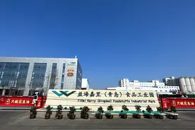 头雁带动，“链式”聚变！世界级粮油集团益海嘉里在胶州“拔节生长”图片
