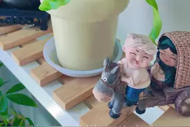 喜欢养花种草的人，都是什么样的性格？图片