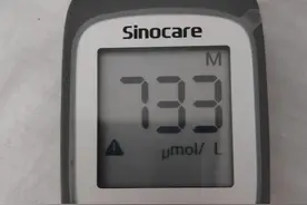 尿酸从733降到381，不吃药，历时39天，我是这样做的图片