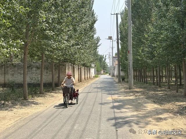 冠县乡韵·柳林镇三里屯村