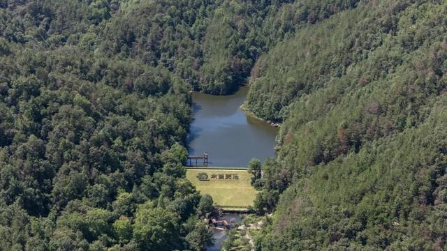 遇鹿山庄：与鹿同栖，住进李白诗中的「星野山居」