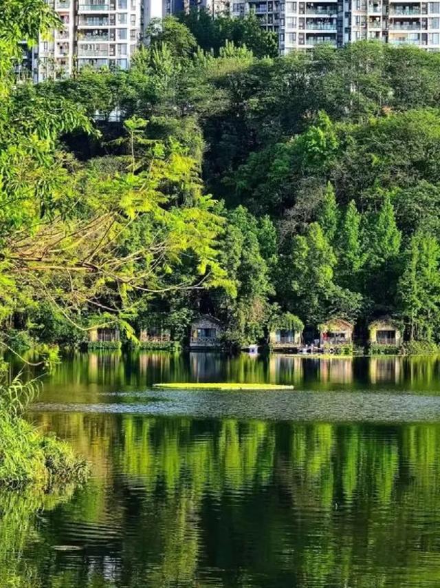 周末圈 | 轨道交通可达,重庆这14个公园,周末撒欢超开心!