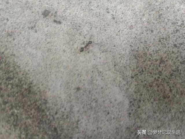 我最近热衷废墟游因为多少总会有收获,加油!我的胜利已近在眼前