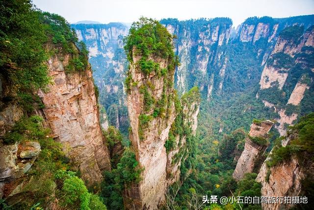 2025张家界攻略，天门山AR穿越+黄龙洞星河音乐会，爽到腿软