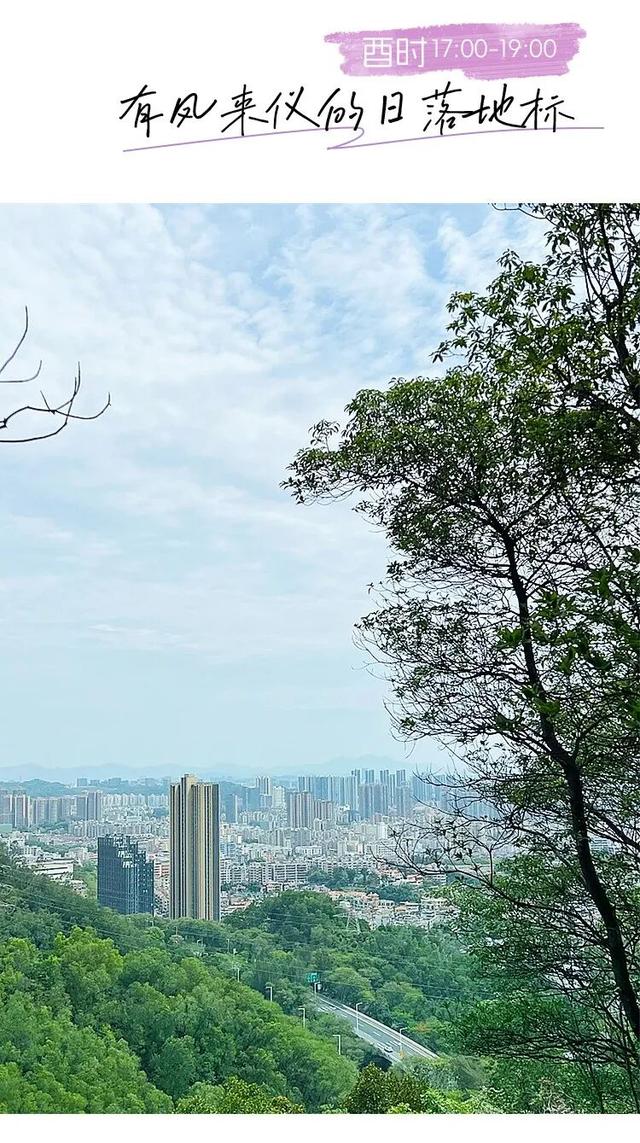 “趣龙岗”打卡新地标！全城玩咖速集结→