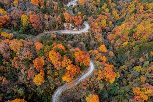 来洋县华阳！赴一场秋日之约~