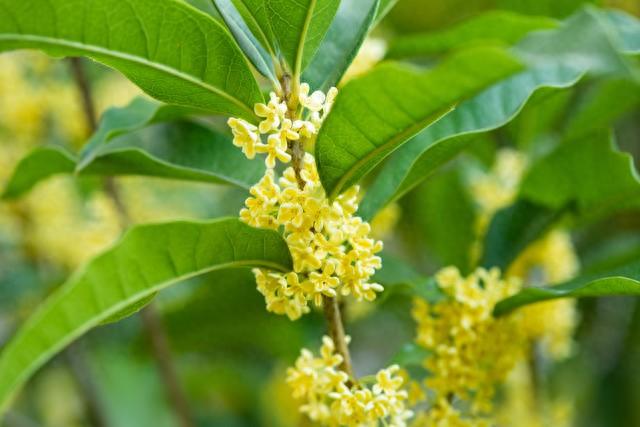 每日诗记：楼台望