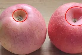 苹果脆不脆，看一眼这里就知道，一挑一个准，老果农的好方法，太实用了！图片