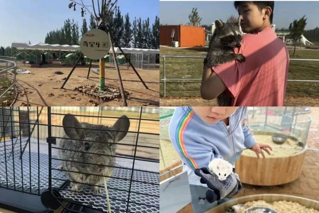 “乡村+文旅”深度游！这里正成济南起步区初冬休闲出游“新选择”