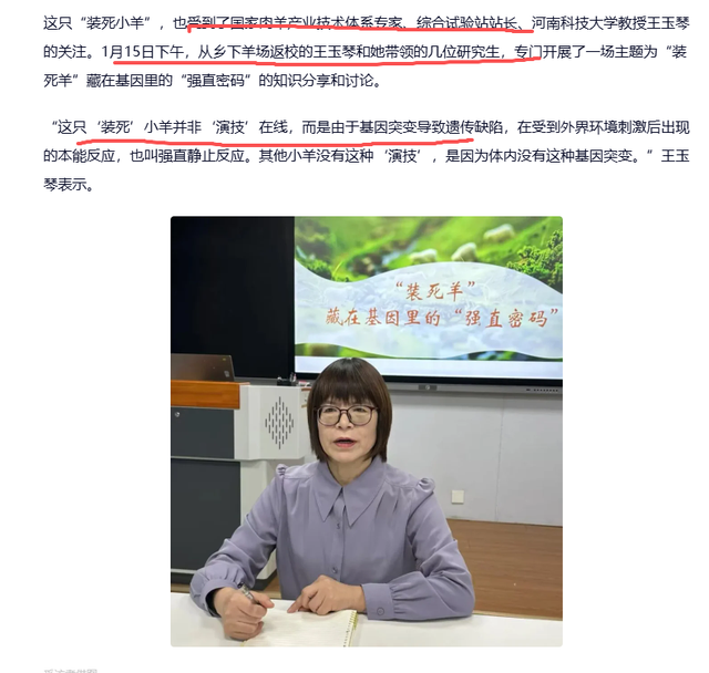 网红羊后续：身价涨三十万，真相揭秘不出所料，小羊可能保不住了