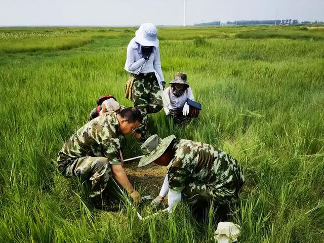 仅有1人种植！专家下乡偶然发现，山西老汉为哄孩子种了几十年