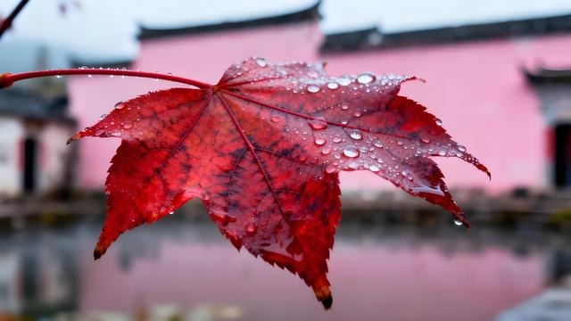 南湖秋雾映徽韵，古村岁稔醉秋光 —— 安徽黄山宏村赏秋手记