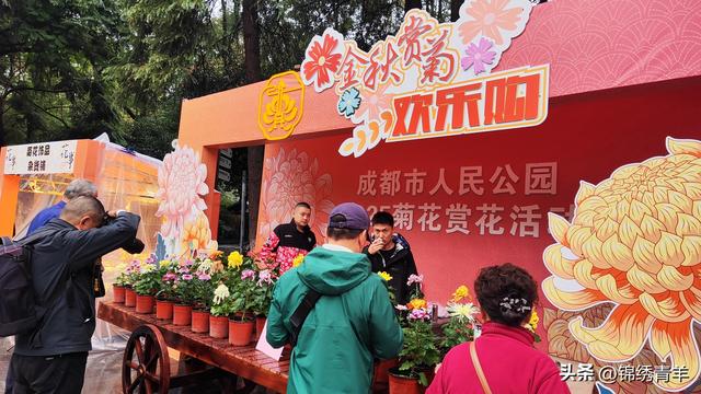 菊韵蓉城秋意浓 人民公园菊花赏花盛宴启幕