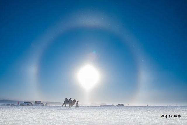冬寻双极·打卡冷极根河&北极漠河、漫步大兴安岭、探访使鹿部落
